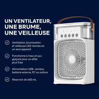 Ventilateur 3 en 1